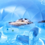 «Alpha Resort Tomamu's Ice Hotel» в Японии