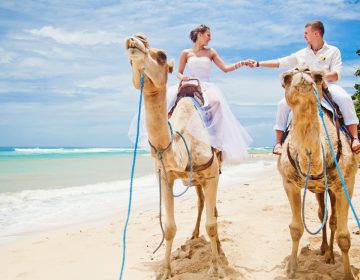Свадьба в Тунисе — романтичность и колорит