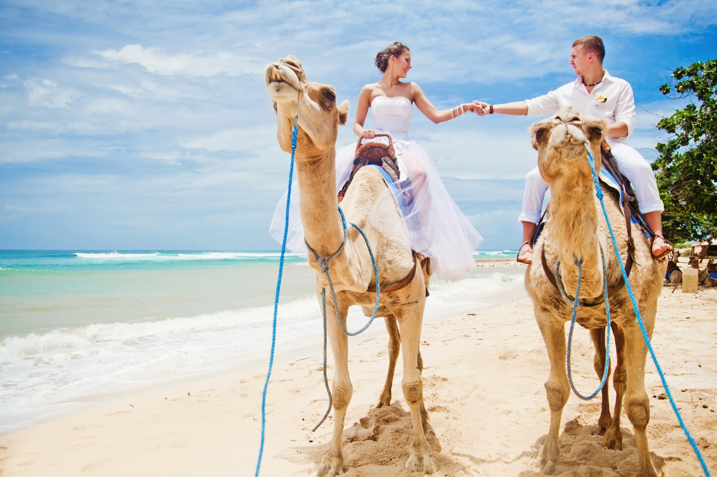 Свадьба в Тунисе — романтичность и колорит